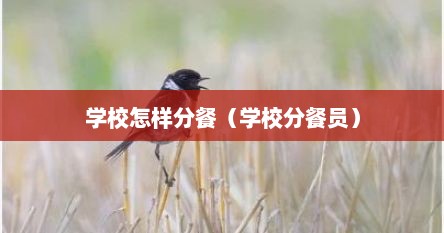 学校怎样分餐（学校分餐员）