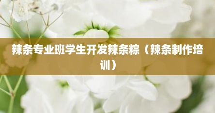 辣条专业班学生开发辣条粽（辣条制作培训）