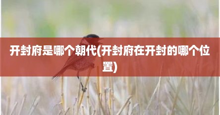 开封府是哪个朝代(开封府在开封的哪个位置)