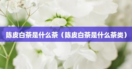 陈皮白茶是什么茶（陈皮白茶是什么茶类）
