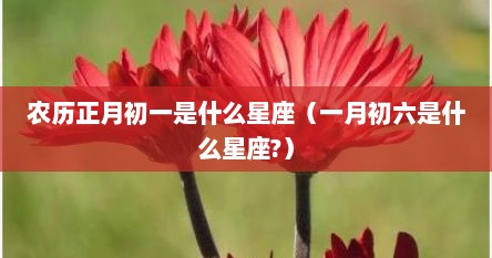 农历正月初一是什么星座（一月初六是什么星座?）