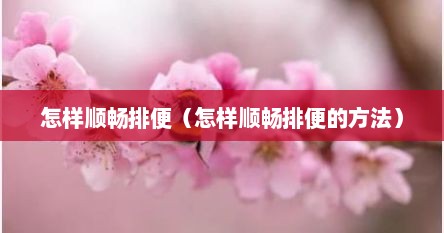 怎样顺畅排便（怎样顺畅排便的方法）