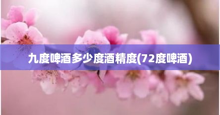 九度啤酒多少度酒精度(72度啤酒)