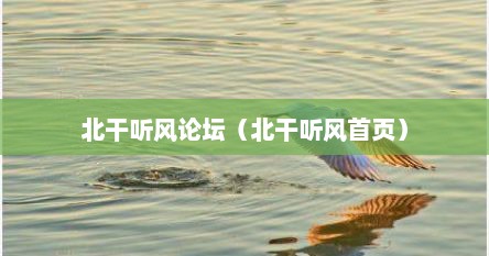 北干听风论坛（北干听风首页）