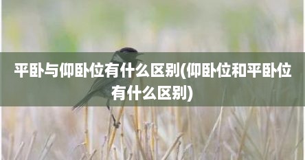 平卧与仰卧位有什么区别(仰卧位和平卧位有什么区别)