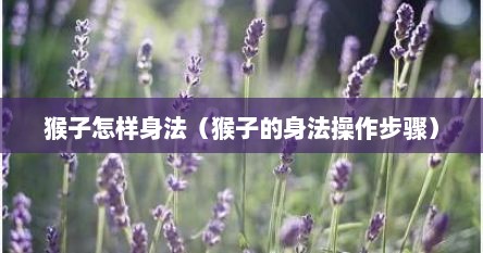 猴子怎样身法（猴子的身法操作步骤）