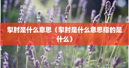 掣肘是什么意思（掣肘是什么意思指的是什么）