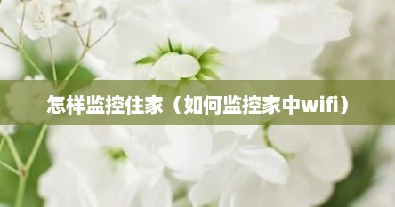 怎样监控住家（如何监控家中wifi）