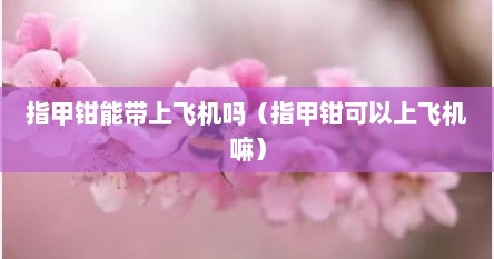 指甲钳能带上飞机吗（指甲钳可以上飞机嘛）