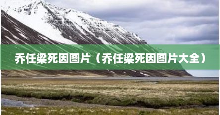 乔任梁死因图片（乔任梁死因图片大全）