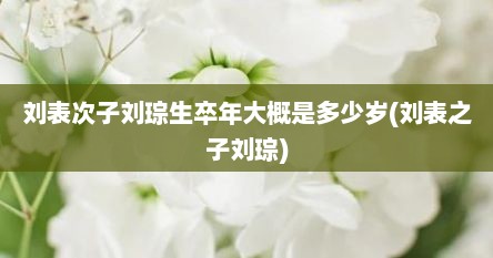 刘表次子刘琮生卒年大概是多少岁(刘表之子刘琮)