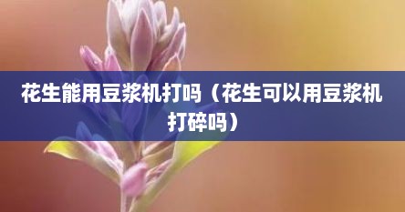 花生能用豆浆机打吗（花生可以用豆浆机打碎吗）