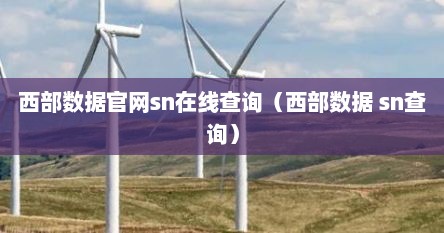 西部数据官网sn在线查询（西部数据 sn查询）