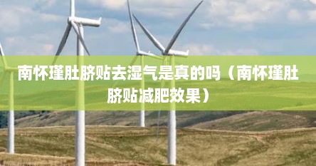 南怀瑾肚脐贴去湿气是真的吗（南怀瑾肚脐贴减肥效果）