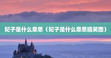 妃子是什么意思（妃子是什么意思搞笑图）