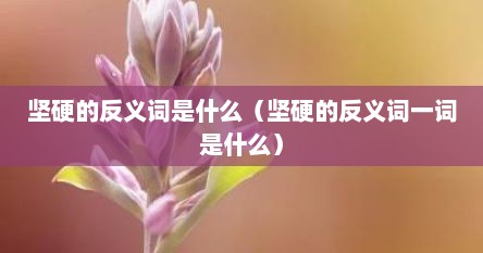 坚硬的反义词是什么（坚硬的反义词一词是什么）