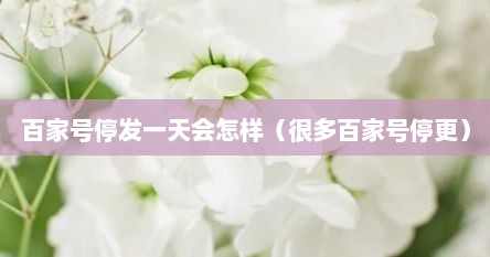 百家号停发一天会怎样（很多百家号停更）