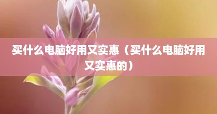 买什么电脑好用又实惠（买什么电脑好用又实惠的）