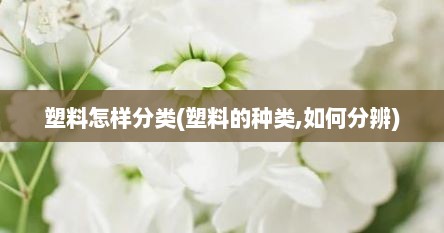 塑料怎样分类(塑料的种类,如何分辨)