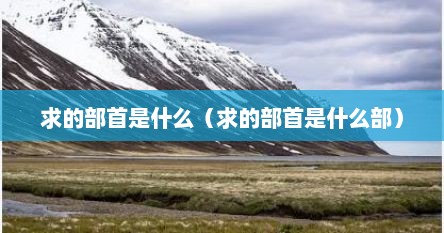 求的部首是什么（求的部首是什么部）