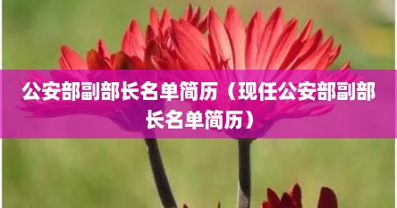 公安部副部长名单简历（现任公安部副部长名单简历）