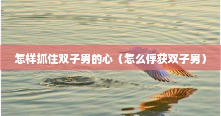 怎样抓住双子男的心（怎么俘获双子男）
