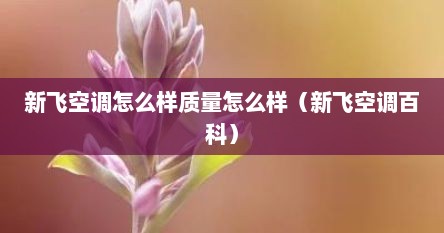 新飞空调好用吗（新飞空调百度百科）