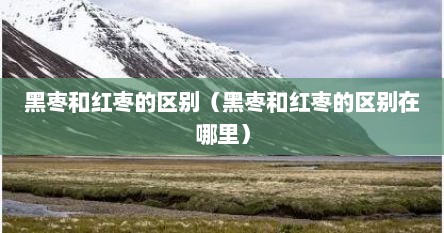 黑枣和红枣的区别（黑枣和红枣的区别在哪里）