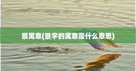 景寓意(景字的寓意是什么意思)