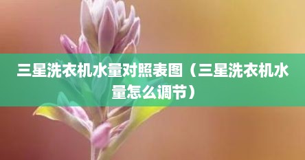 三星洗衣机水量对照表图（三星洗衣机水量怎么调节）