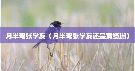 月半弯张学友（月半弯张学友还是黄绮珊）