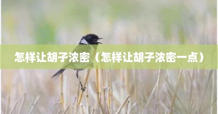 怎样让胡子浓密（怎样让胡子浓密一点）