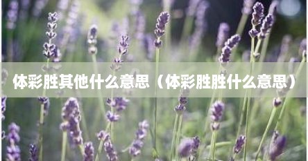 体彩胜其他什么意思（体彩胜胜什么意思）