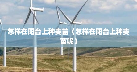 怎样在阳台上种麦苗（怎样在阳台上种麦苗呢）