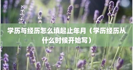 学历与经历怎么填起止年月（学历经历从什么时候开始写）