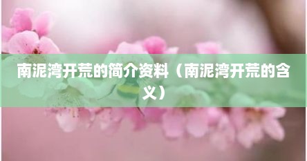 南泥湾开荒的简介资料（南泥湾开荒的含义）