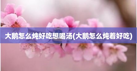大鹅怎么炖好吃想喝汤(大鹅怎么炖着好吃)