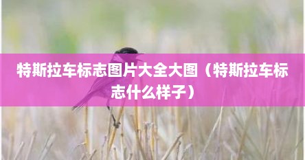特斯拉车标志图片大全大图（特斯拉车标志什么样子）