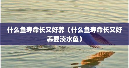 什么鱼寿命长又好养（什么鱼寿命长又好养要淡水鱼）