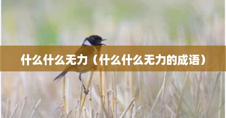 什么什么无力（什么什么无力的成语）