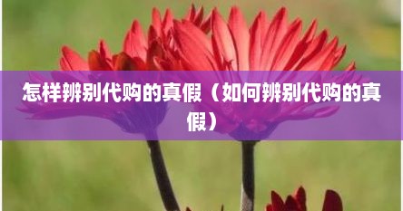 怎样辨别代购的真假（如何辨别代购的真假）