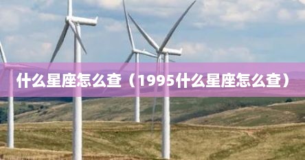 什么星座怎么查（1995什么星座怎么查）