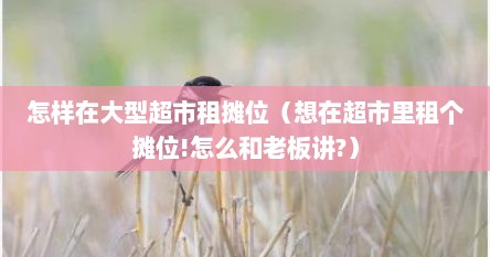 在超市怎么租个柜台卖东西（超市里面的店铺怎么租）