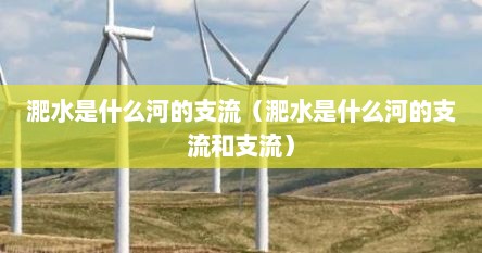 淝水是什么河的支流（淝水是什么河的支流和支流）