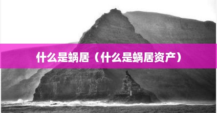 什么是蜗居（什么是蜗居资产）