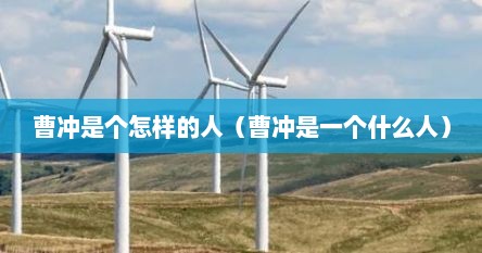 曹冲是个怎样的人（曹冲是一个什么人）