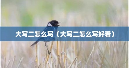 大写二怎么写（大写二怎么写好看）