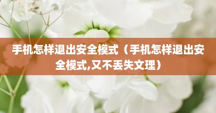 手机怎样退出安全模式（手机怎样退出安全模式,又不丢失文理）