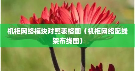 机柜网络模块对照表格图（机柜网络配线架布线图）