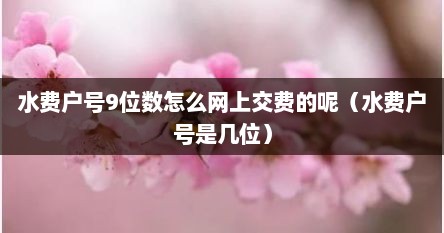 水费户号9位数怎么网上交费的呢（水费户号是几位）